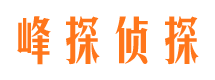 平乐市调查公司